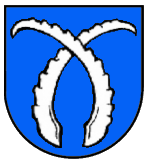 File:Wappen Ratzenried.png