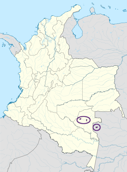 File:Carapana.png