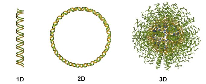 File:Classes of Nucleic Acids.jpg