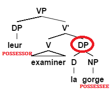 File:External possession structure.png