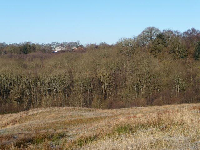 File:Hunthouse Wood - geograph.org.uk - 1103840.jpg