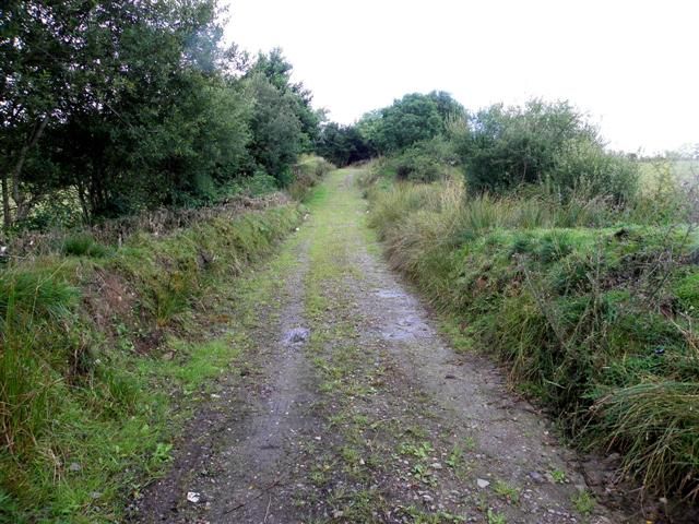 File:Lane, Drumboory (geograph 3597230).jpg