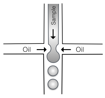 File:Oil Emulsion Technique.png