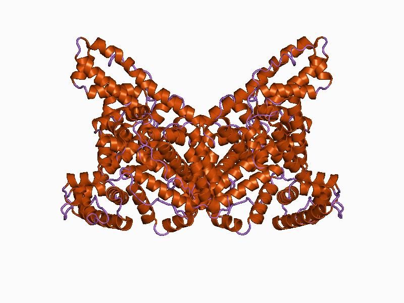 File:PDB 1bm0 EBI.jpg