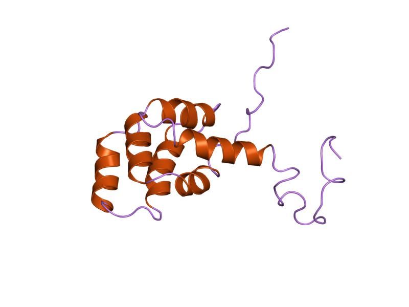 File:PDB 1ddf EBI.jpg