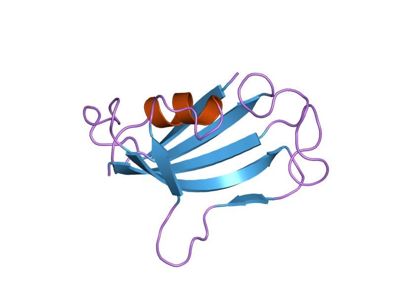 File:PDB 1fkt EBI.jpg