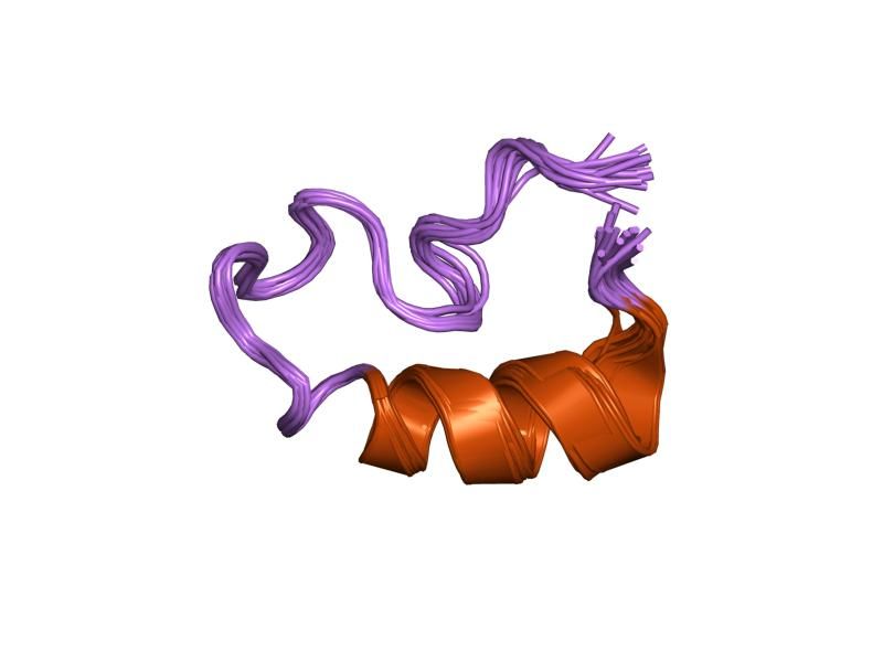 File:PDB 1k0p EBI.jpg