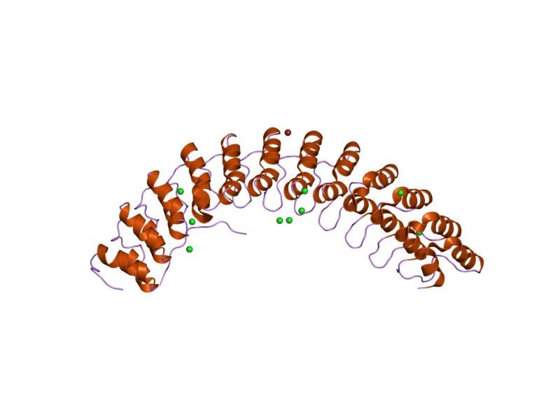 File:PDB 1n11 EBI.jpg