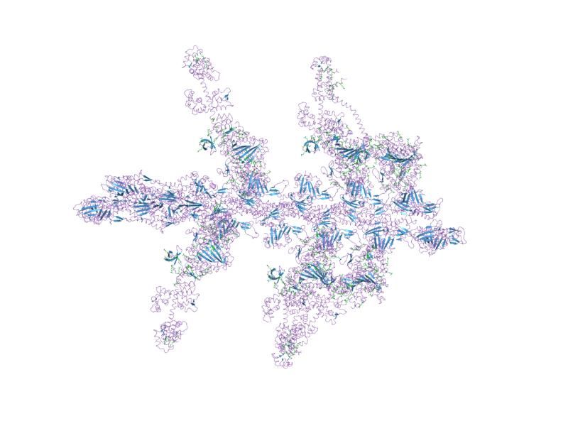 File:PDB 1o18 EBI.jpg