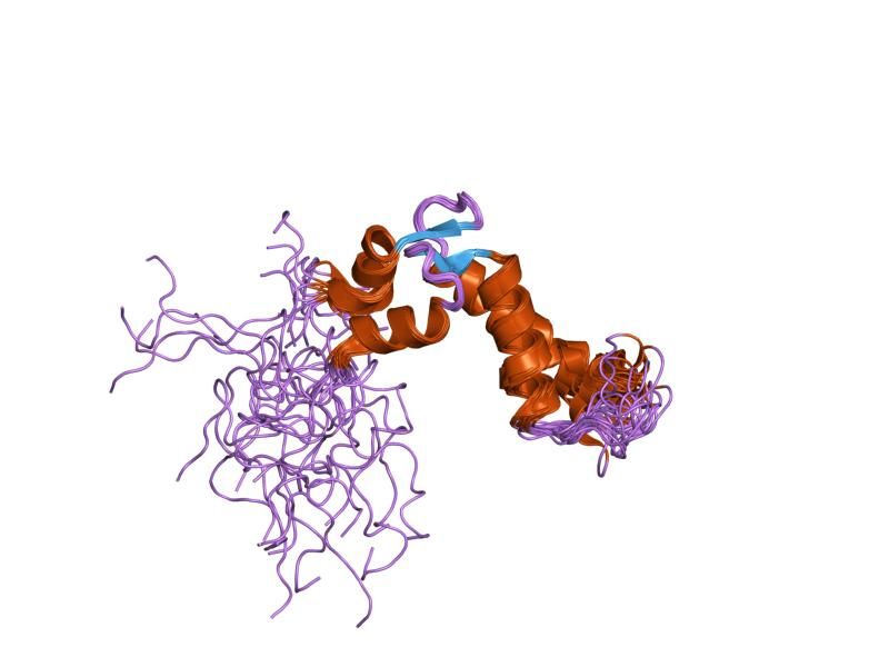 File:PDB 1snl EBI.jpg