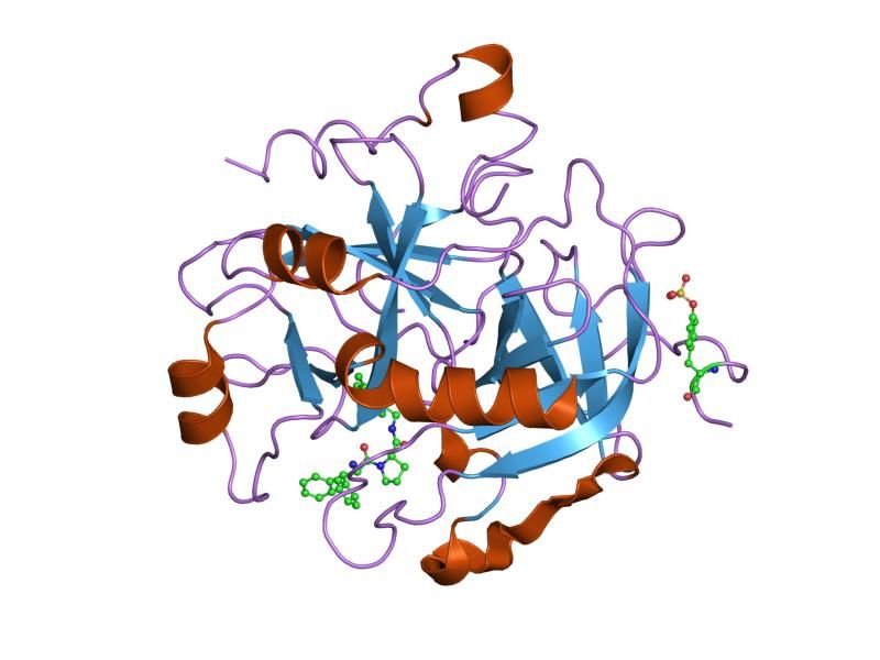 File:PDB 1ta2 EBI.jpg