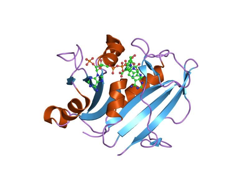 File:PDB 1u72 EBI.jpg