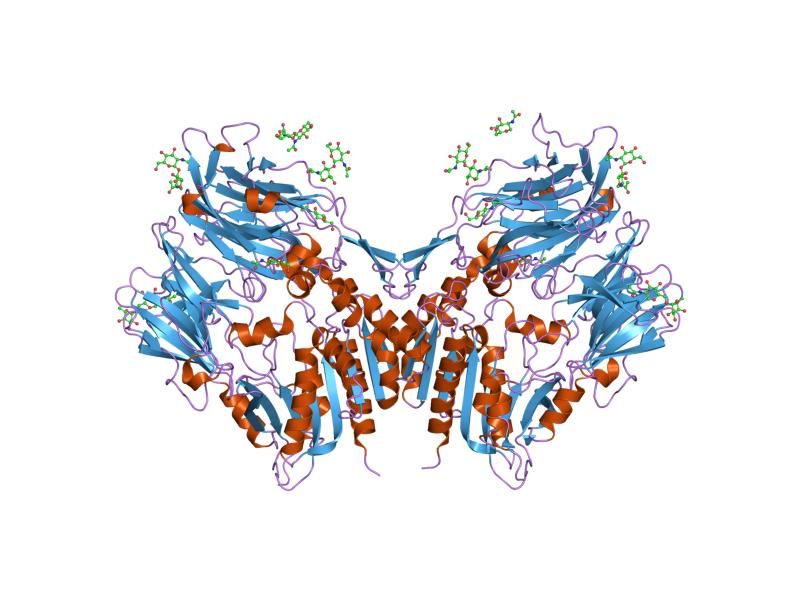 File:PDB 1wcy EBI.jpg