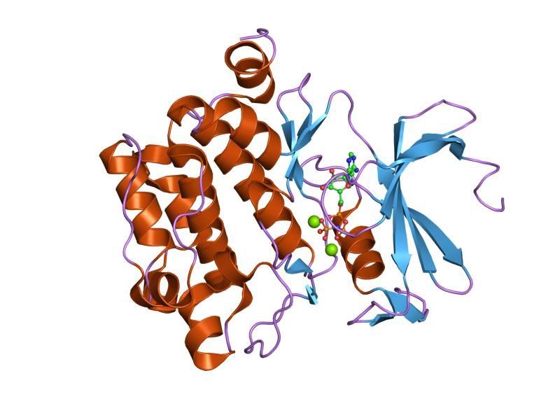 File:PDB 1xr1 EBI.jpg