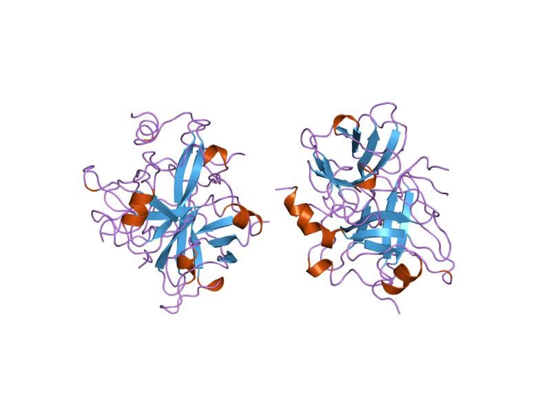 File:PDB 1ycp EBI.jpg