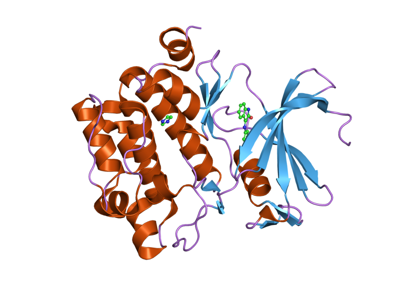 File:PDB 1yxx EBI.png