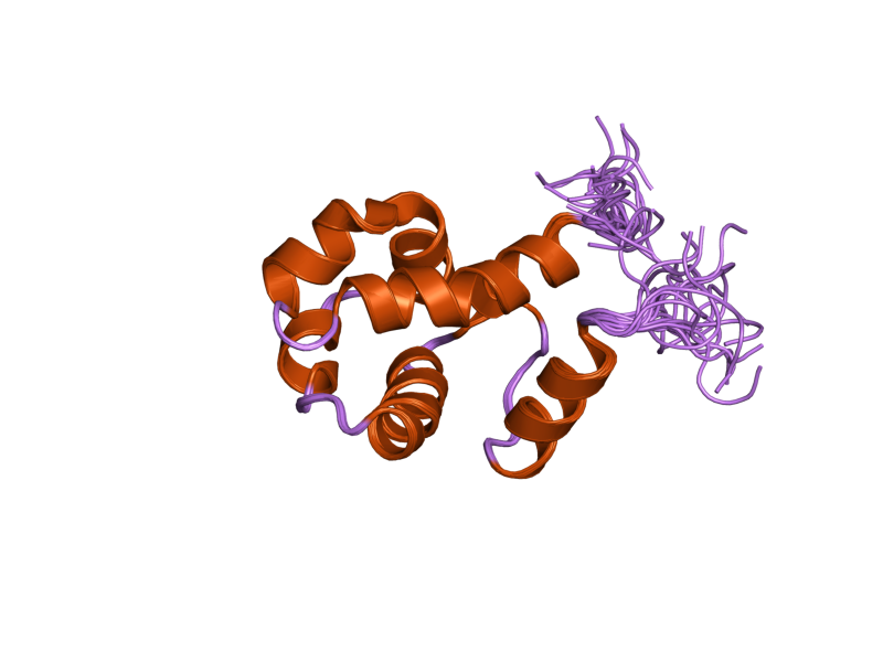 File:PDB 2dkx EBI.png