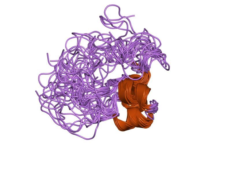 File:PDB 3lri EBI.jpg