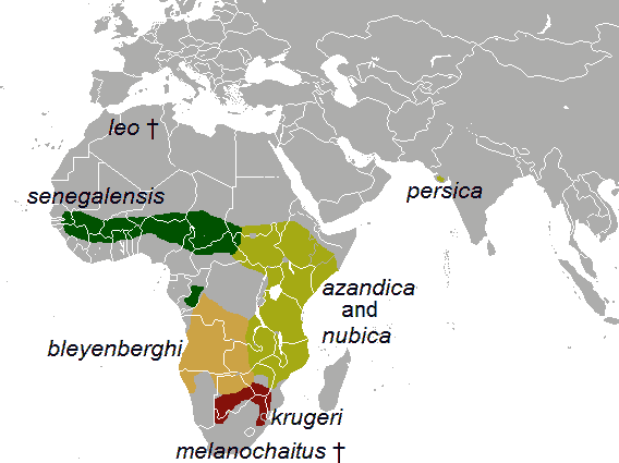 File:Panthera leo subspecies late 20th century.png