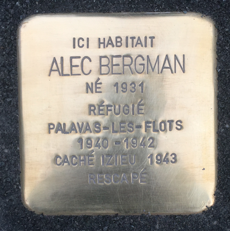 File:Pavé de la mémoire - Alec Bergman.png