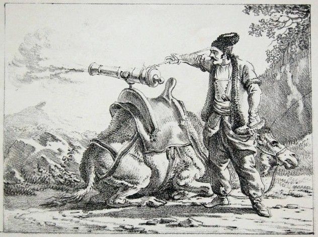 File:Camel artillery iran.JPG