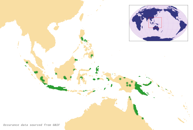 File:Dysoxylum-parasiticum-distribution-map.png