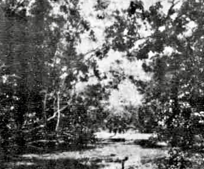 File:Howard River 1924.jpg