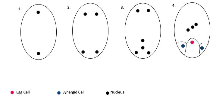 File:Image 5-3-19 at 11.19 AM.jpg