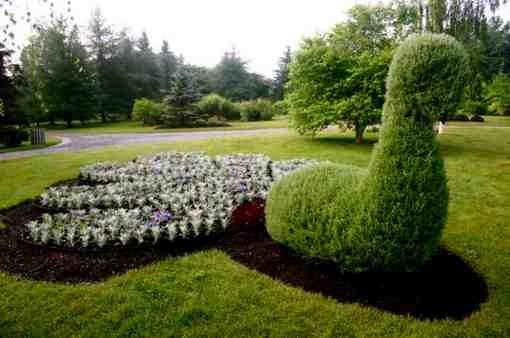 File:Le paon jardin botanique nouveau-brunswick.jpg