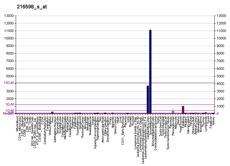 File:PBB GE CCL2 216598 s at fs.png