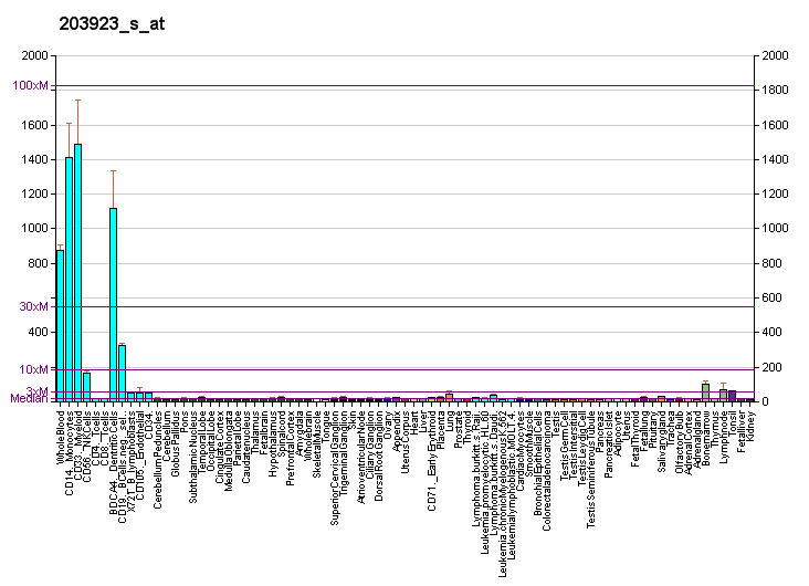 File:PBB GE CYBB 203923 s at fs.png