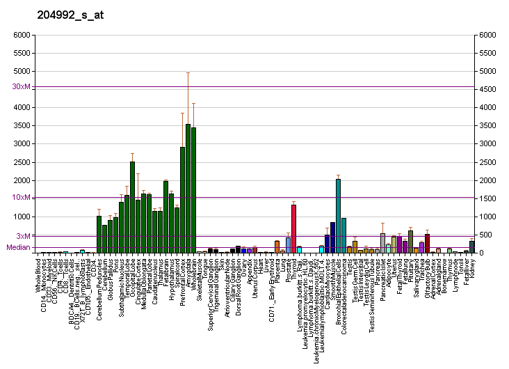 File:PBB GE PFN2 204992 s at fs.png