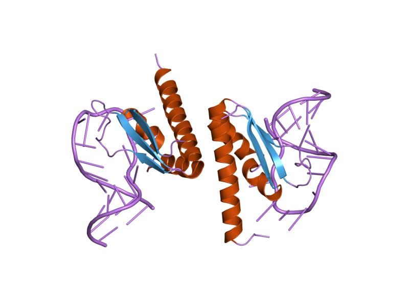 File:PDB 1ec6 EBI.jpg