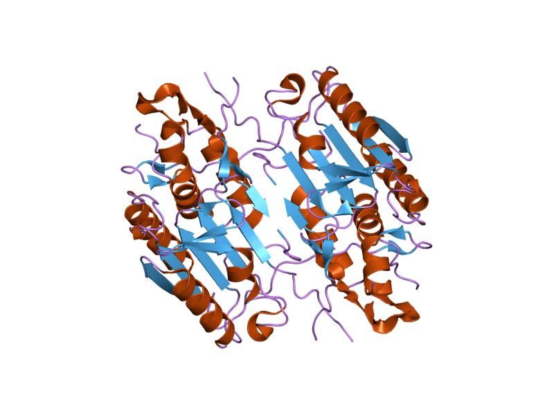 File:PDB 1kmc EBI.jpg