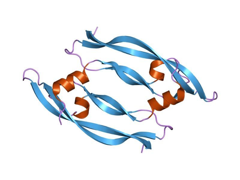 File:PDB 1mjv EBI.jpg