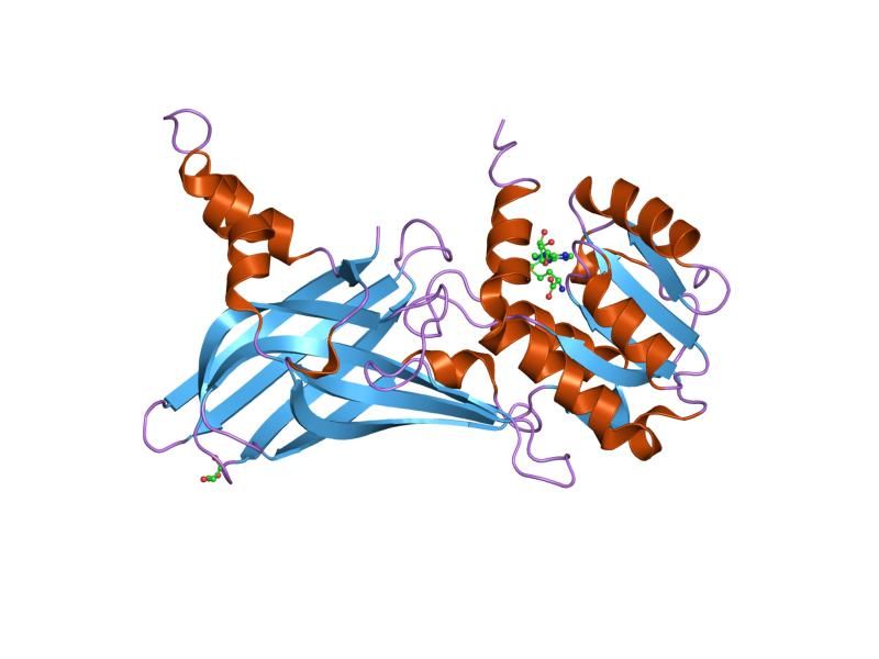 File:PDB 1orh EBI.jpg