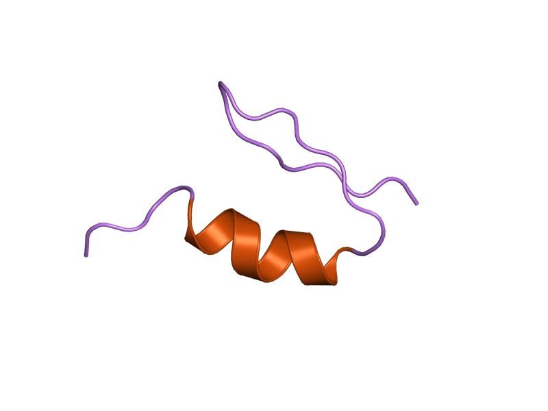 File:PDB 1sp2 EBI.jpg