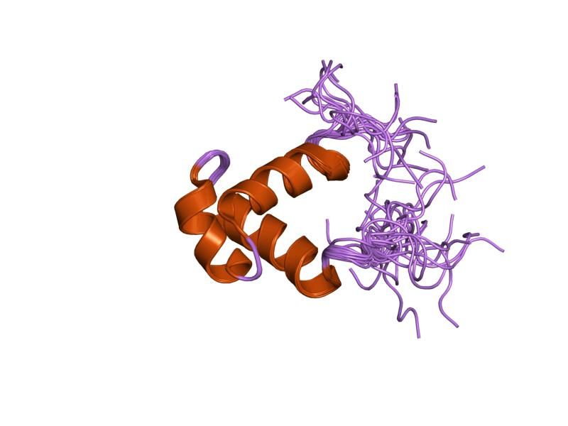 File:PDB 1x41 EBI.jpg