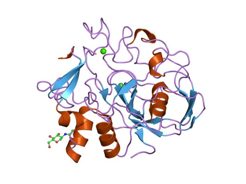 File:PDB 1y1e EBI.jpg