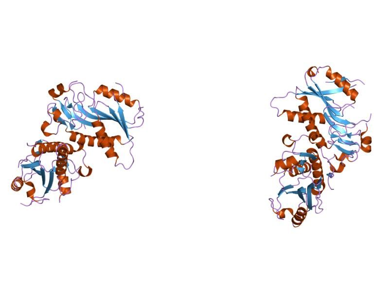 File:PDB 1z7g EBI.jpg