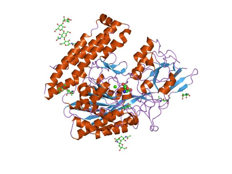 File:PDB 2c6g EBI.jpg