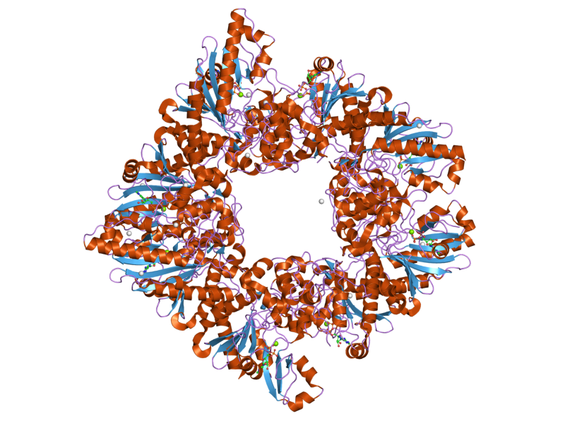 File:PDB 2gl6 EBI.png