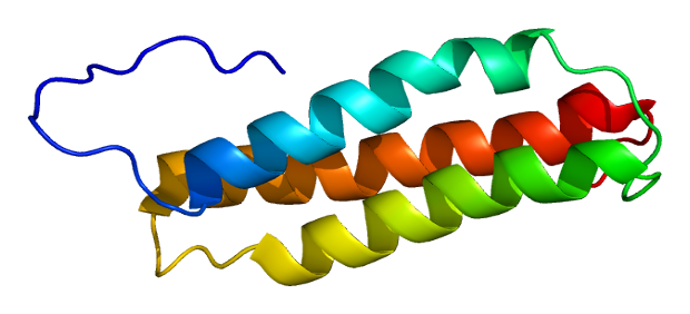 File:Protein BAG5 PDB 1ugo.png