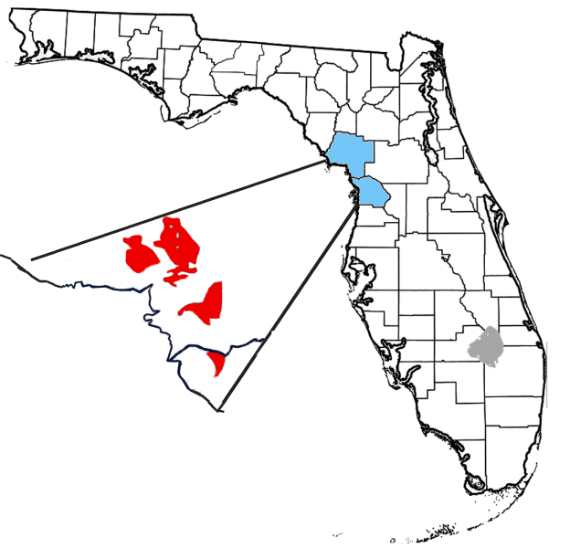 File:Avon Park Formation map.png