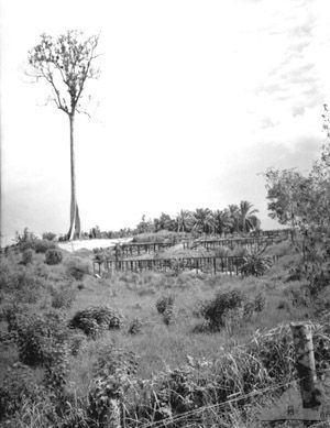 File:Awm 120461 sandakan.jpg