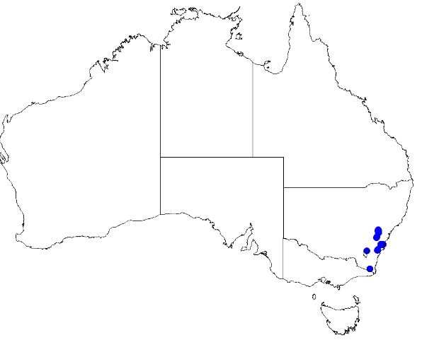 File:Boronia deanei DistMap29.png