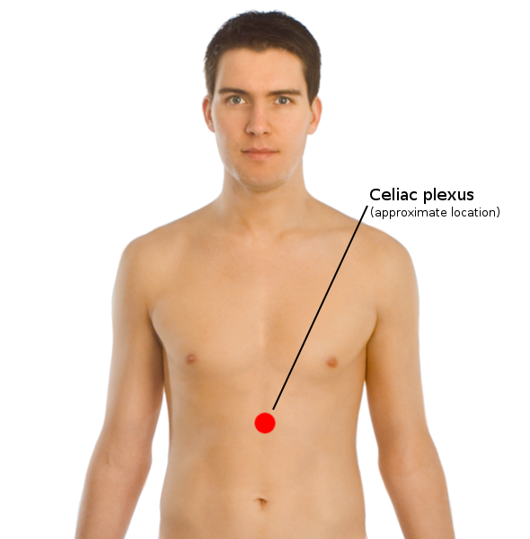 File:Celiac plexus coronal.png