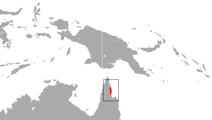 File:Cinnamon Antechinus area.png