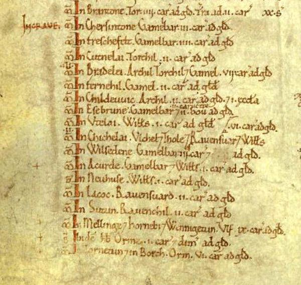 File:Domesday Book folio 301v ms detail.jpg