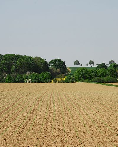 File:Erkelenzer Land.jpg